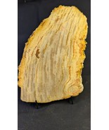 Petrified Wood Large Decorative Crystal Slices ≥9.0&quot; &amp; over 30 oz ( Item... - $76.56 CAD