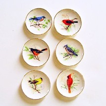 DOLLHOUSE 6 Plates Bright Birds w Leaves CDD152 By Barb Wall Art Miniature - £24.30 GBP
