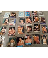 LOT OF 25 BBM Limited Card All Japan Pro Wrestling - $20.56