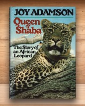 Queen of Shaba (Story of an African Leopard) - Joy Adamson - Hardcover DJ 1980 - £10.88 GBP