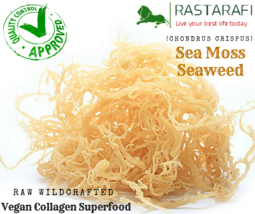 Rastarafi® Whole Leaf Irish Moss Sea Moss 8 Oz | Raw WildCrafted Superfood - £14.18 GBP
