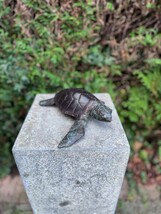 Sea Turtle – Bronze Sculpture. 6x22x23cm - 1.5Kg - $273.74 CAD