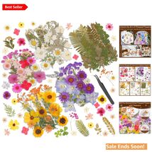 Natural Dried Pressed Flowers for Resin Crafts DIY Art Projects in Vibra... - $24.70
