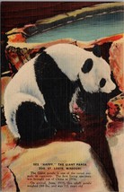 See &quot;Happy&quot; the Giant Panda Zoo St. Louis MO Postcard PC382 - £4.05 GBP