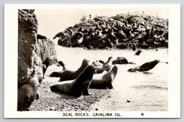 RPPC Seal Rocks Catalina Island CA Real Photo Postcard U25 - £4.74 GBP
