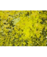 GUILLEMENITE - Rare Barium Uranium Selenite - Musonoi Mine, Katanga, CONGO - €194,53 EUR