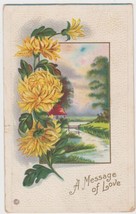 A Message of Love Postcard 1918 Loami Illinois - £2.35 GBP
