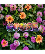 Goose Tie Die Rainbow Mushrooms Holographic Sticker Slap 4.5&quot; x 1.25&quot; - $3.43