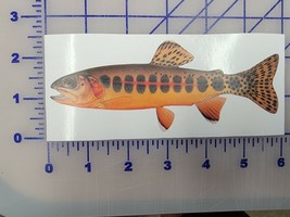 Native Golden Real Trout Fish vinyl custom car truck time decal 6&quot; Realistic  - $3.47