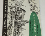 Vintage Snowbird Mountain Lodge Brochure Smoky Mnts North Carolina BRO13 - $14.84