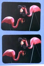 Lot 2 Valentine Card Flamingo Postcards Humor Hallmark - £3.97 GBP
