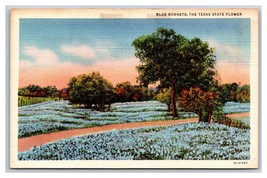 Blue Bonnets Texas State Flower TX UNP Linen Postcard E19 - £1.55 GBP