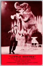 Vintage Reno&#39;s &quot;LITTLE BERTHA&quot; Nugget Casino 1960&#39;s Postcard sparks Elep... - $6.75
