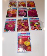 10 PACK BUNDLE LOT ZINNIA SEEDS - $262.83 MXN