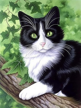 5D Diamond Painting Kits for Adults Cat Art Animal, Paint by Numbers \12X16 Inch - £10.79 GBP