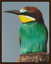 European Birds - Bee Eater ~~ counted cross stitch pattern PDF - $15.99
