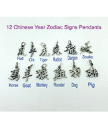 925 Sterling Silver Chinese Year Zodiac Signs Charms 12 Chinese Zodiac S... - £20.03 GBP+