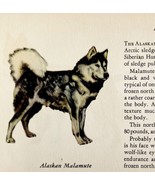 Alaskan Malamute 1939 Dog Breed Art Ole Larsen Color Plate Print Antique... - $40.73 CAD