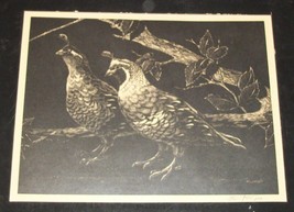 George Kountoupis Oklahoma Art Engraving Quail Grouse Print Signed Sepia Picture - £31.60 GBP