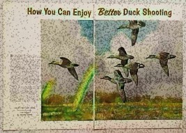 1956 Magazine Picture Green Winged Teal Ducks Illustrated by Peter Scott - $9.28
