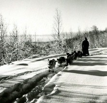 RPPC Dogsled Team Mushing In Alaska AK UNP Postcard Unused Griffin Photo B14 - £6.95 GBP