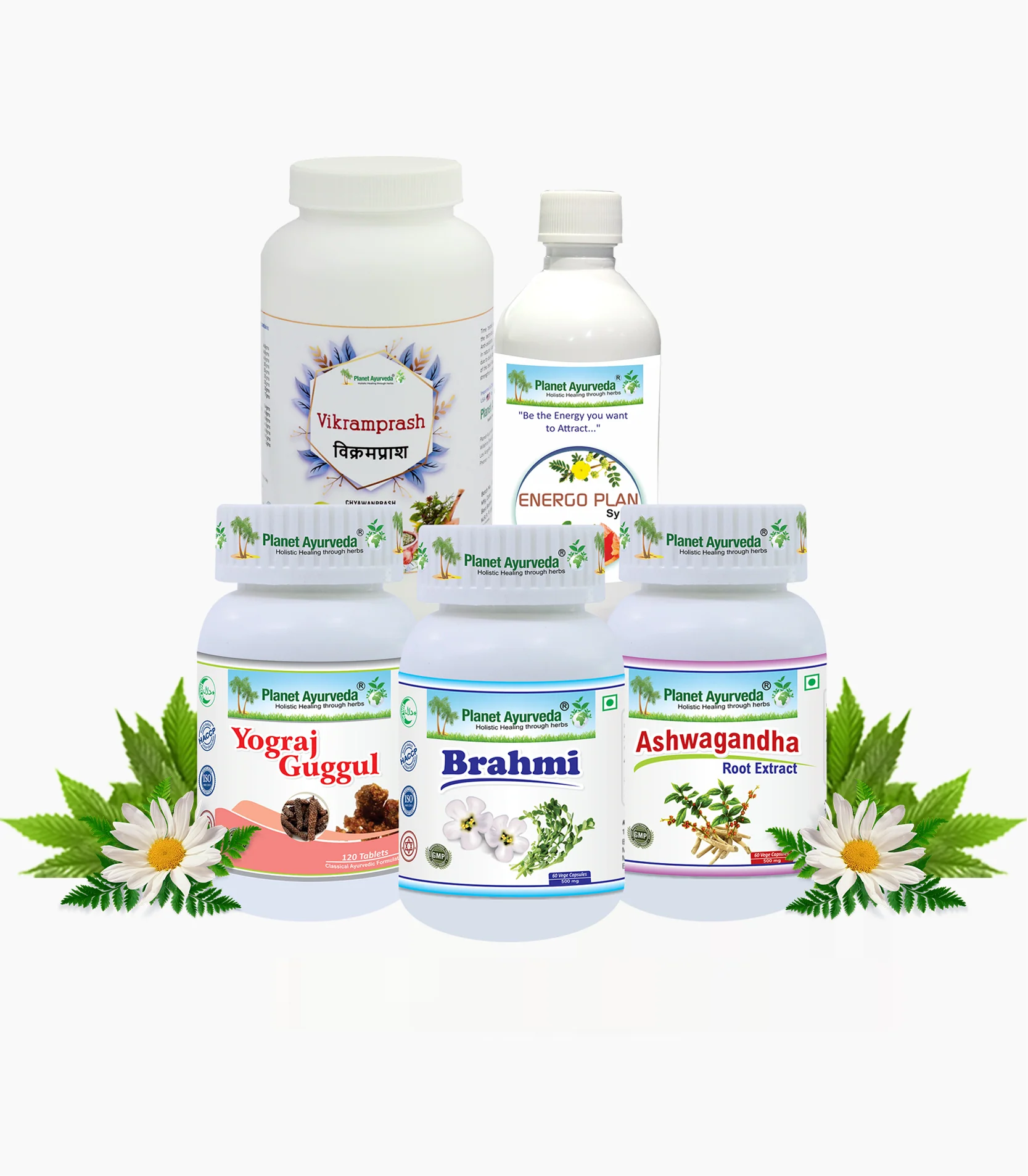 Planet Ayurveda Anti-fatigue Pack with Free Shipping - $305.00