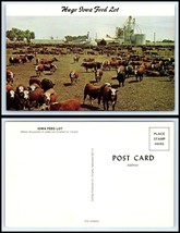 IOWA Postcard - Huge Feed Lot - Cattle Q26 - £2.31 GBP