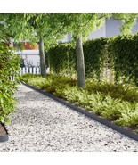 vidaXL Lawn Edgings 30 pcs Anthracite 39.4x0.2x5.9 in Plastic - €255,43 EUR