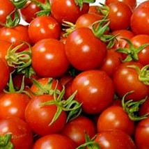 USA SELLER Red Cherry Tomato Super Sweet Early - $15.48