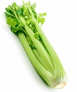 2000 Celery Seeds Tall Utah Celery Seeds Heirloom Crisp Tender FRESH - $11.24