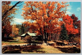 Vintage fall autumn log cabin landscape scene Postcard New England - £3.94 GBP