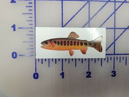 Golden Trout Fish Native  vinyl custom car truck time decal Realistic Reflective - £1.55 GBP