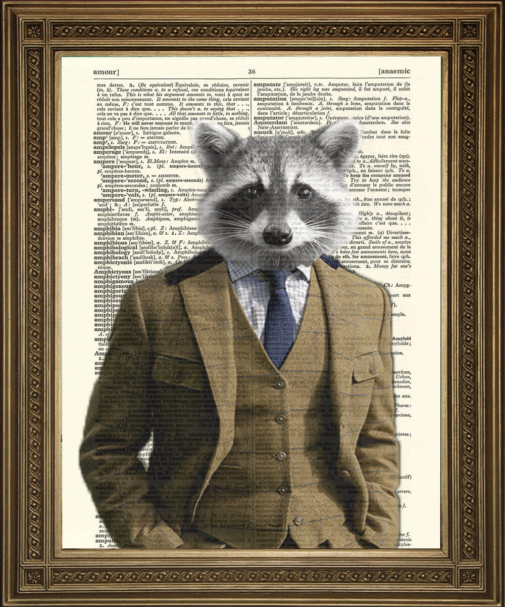 Waschbär IN Anzug : Spaß Mensch Tiere Wörterbuch Kunstdruck (25.4x20.3cm)