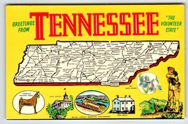 Postcard Greetings From Tennessee Map Chrome State Walking Horse Iris Fl... - $8.08