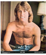 ANDY GIBB 1977 Poster Put-On Sticker - £7.85 GBP