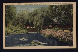 the BLUE HOLE CASTALIA OHIO watching the FISH * not mailed linen POSTCARD - $4.90