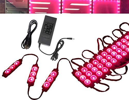 Primary image for 40ft Storefront Magenta hot Pink LED Light Module 5630 with UL 12v AC Power