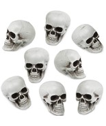 8 Pieces Halloween Skulls Realistic Looking Skulls Human Skeleton Head S... - £18.16 GBP