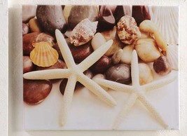 Starfish Shells Stretched Canvas Print Framed Nautical Indoor Outdoor 20" x 16" - $38.61