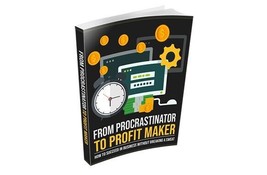 From Procrastinator to Profit Maker (Buy this get other free) - £2.26 GBP