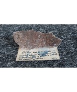 Unknown Petrified Wood - Minerals - Rocks - ESTATE FIND - 100% Natural 80G - €12,78 EUR
