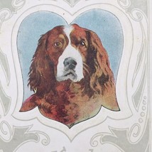 Antique TRG 1919 Somber Brown Collie Dog Kind Remembrance Postcard - £8.30 GBP