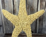 Real Starfish Seashell - Dried Desiccated - 6.5&quot; - Nautical Decor - $17.41
