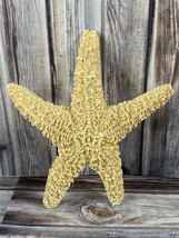 Real Starfish Seashell - Dried Desiccated - 6.5&quot; - Nautical Decor - $17.41