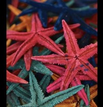 100 Colorful Natural Starfish Mini Crafts Wedding Decorations Micro Land... - £25.80 GBP