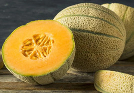 US Seller 20 Honey Rock Cantaloupe Melon Heirloom Organic NonGmo Fresh - £7.25 GBP