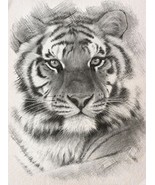 B &amp; W Siberian Tiger Cross Stitch Pattern***L@@K*** - $55.22 MXN
