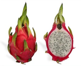 VP White Dragon Fruit (Pitaya / Strawberry Pear) Hylocereus Undatus Cactus 20 Se - £3.76 GBP