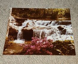 VTG Color 14x11 Shrubs Bushes Forest Azalea Waterfall Photograph Poster ... - $19.99