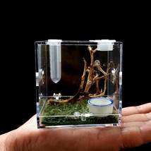 AWXZOM Spider Terrarium, Acrylic Reptile Breeding Box Jumping Spider Enc... - $24.96 CAD